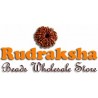 Rudrakshabeads